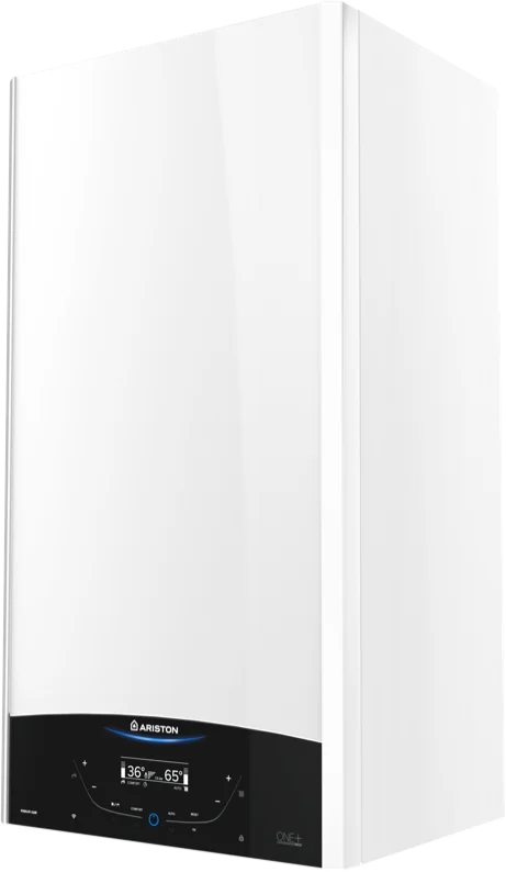 Ariston Genus